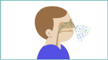 Cómo se propaga el S. pneumoniae